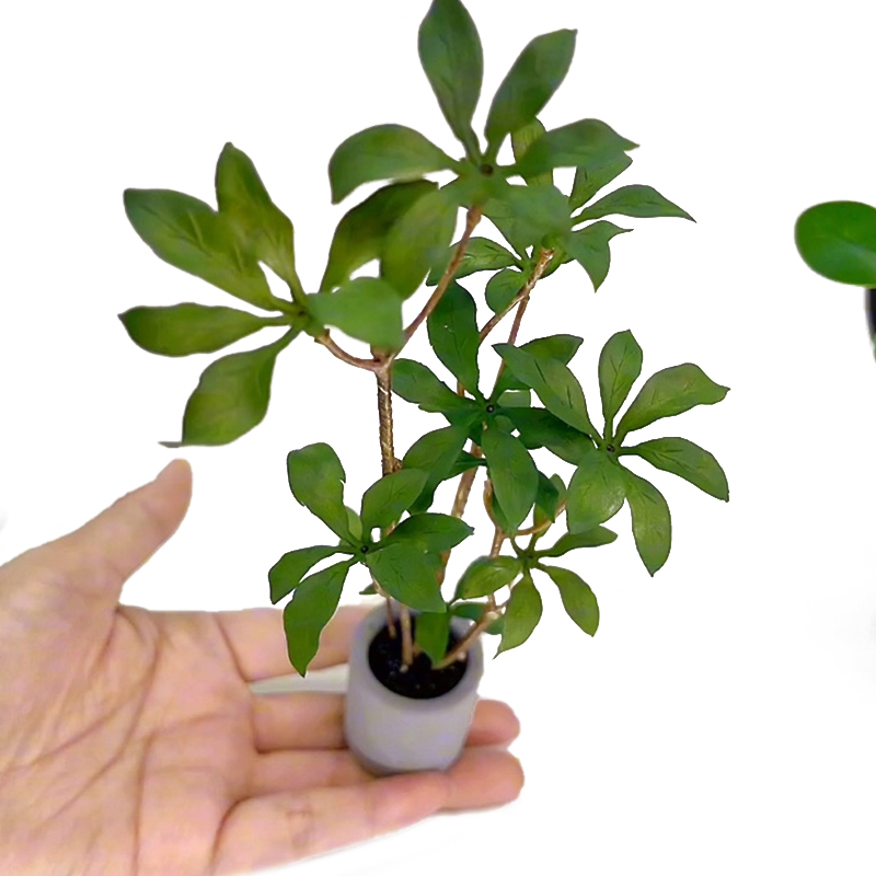 Bonsai Gardenia - 1:6 인형의 집 미니어처 화분 모델,