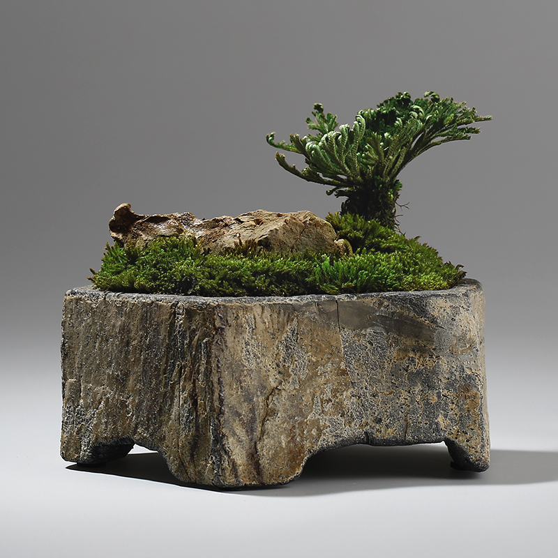 Bonsai Garden Indoor - 현무암 천연석 화분 수제 다육식물 화분