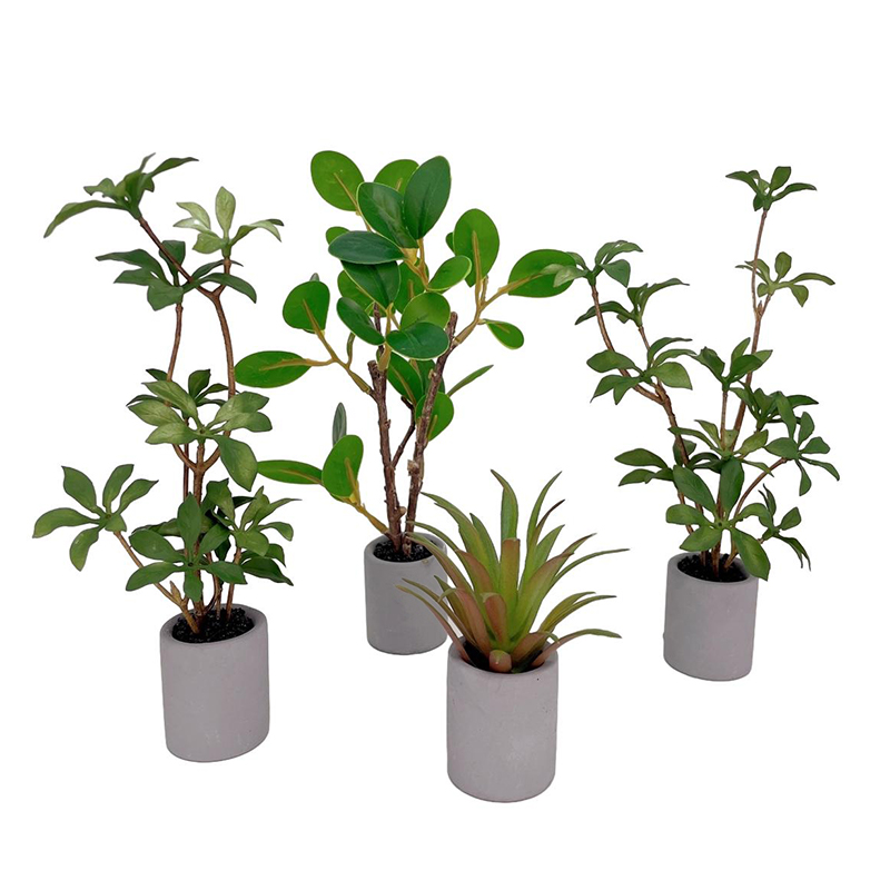 1:6 인형의 집 미니어처 화분 모델, 녹색 잎 식물  - Bonsai Gardenia 리뷰 및 가격