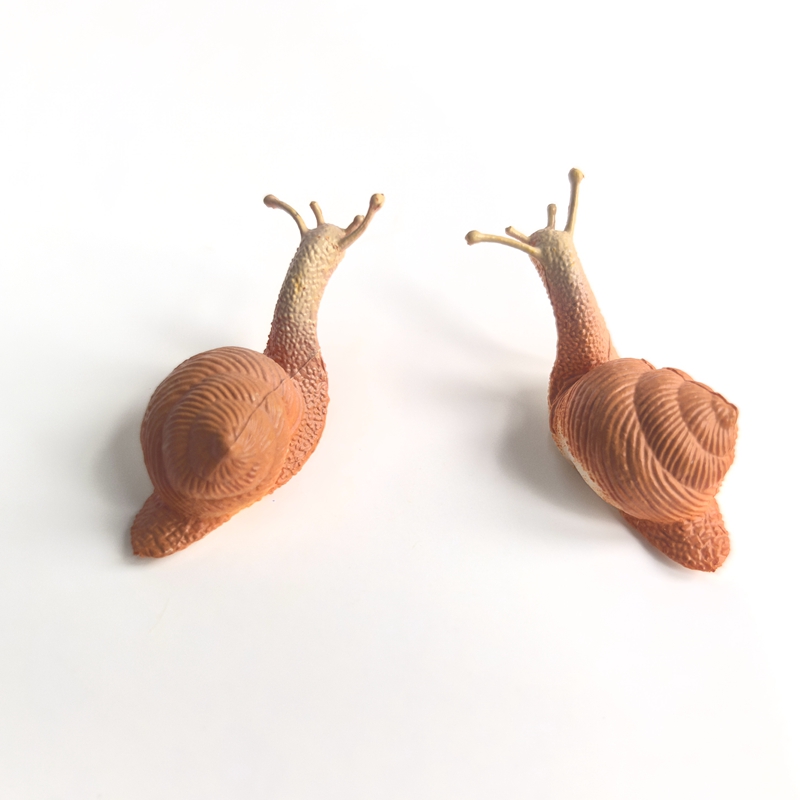 1개 2개 4개 PVC 2인치 바다 달팽이 조경 정원  - Bonsai Garden Indoor 리뷰 및 가격