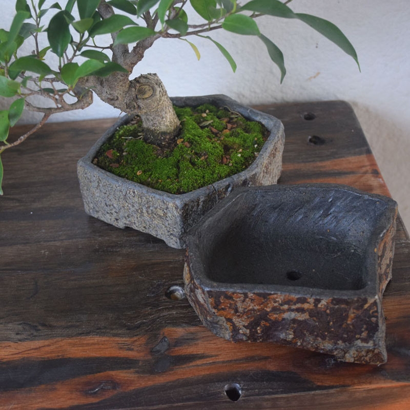 현무암 천연석 화분 수제 다육식물 화분 실내외 데스크탑 - Bonsai Garden Indoor 리뷰 및 가격