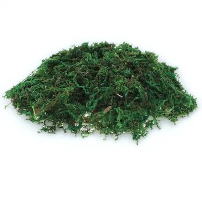 1팩 자연스러운 인조 이끼 장식 (화분, 테라리움, 분 - Bonsai Garden Indoor 리뷰 및 가격