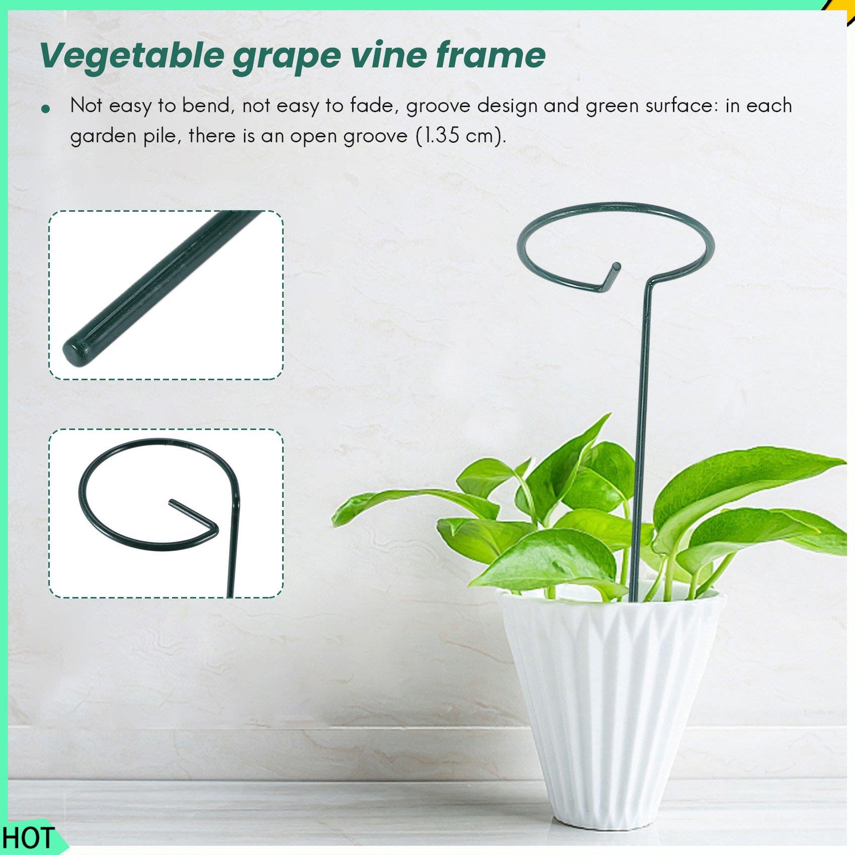 AWAH 8PCS 아름다운 식물 지원 스탠드 꽃 지원  - Bonsai Garden Backyard 리뷰 및 가격