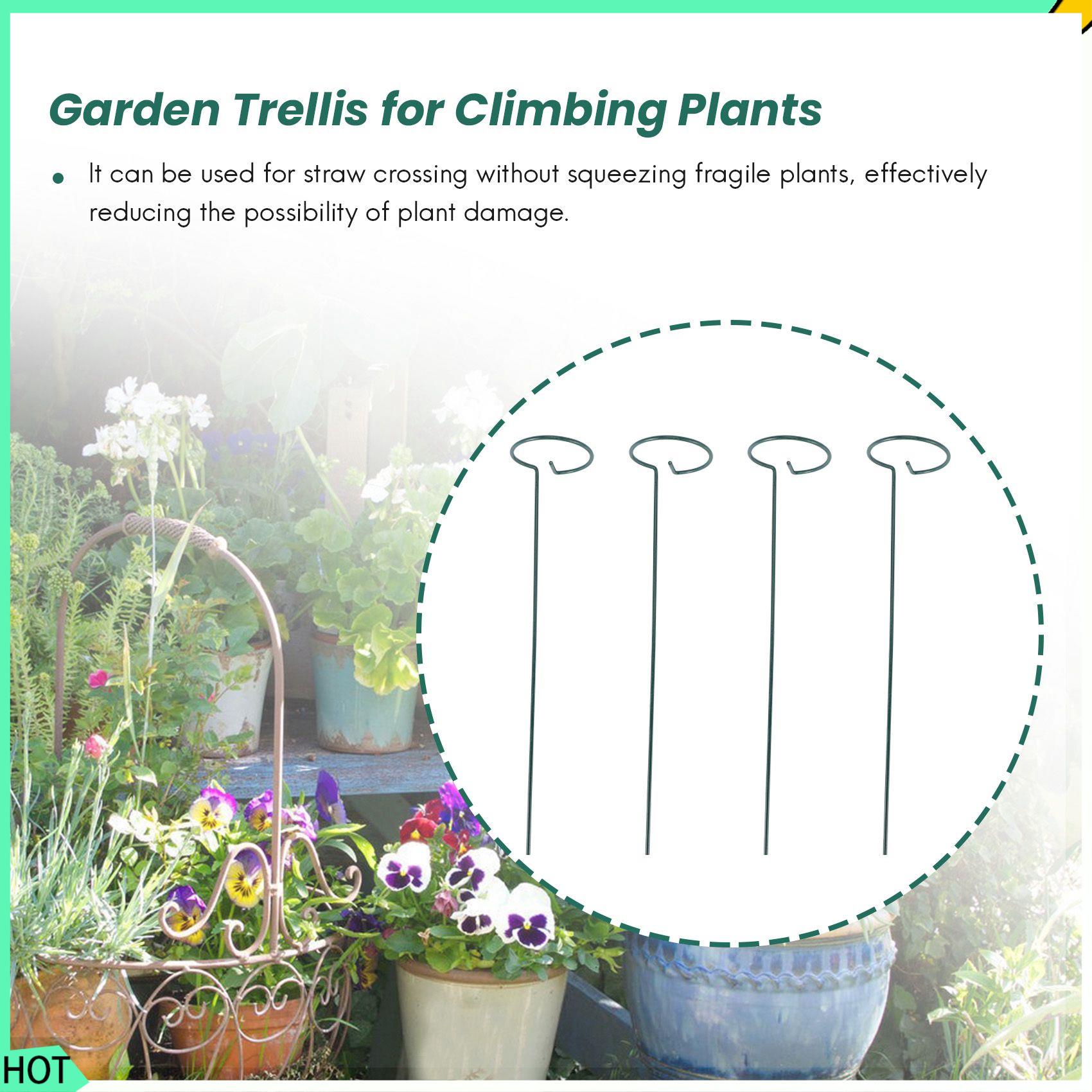 AWAH 8PCS 아름다운 식물 지원 스탠드 꽃 지원  - Bonsai Garden Backyard 리뷰 및 가격