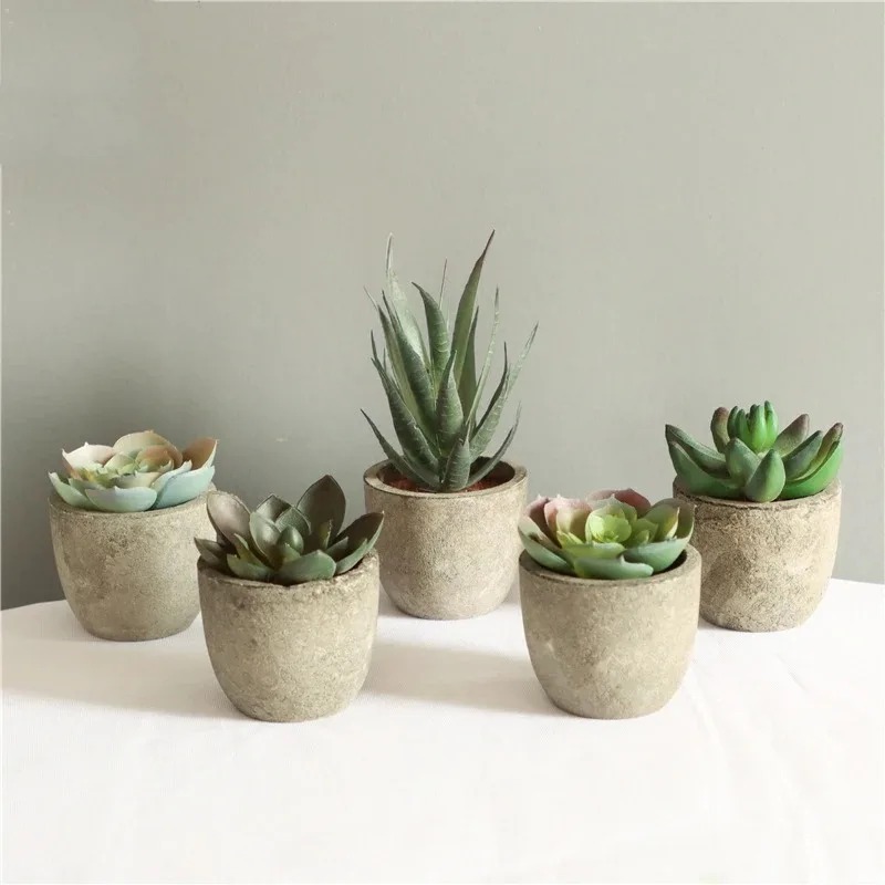미니 인조 알로에 식물 분재 작은 모조 나무 화분 식물 - Bonsai Garden Sushi 리뷰 및 가격