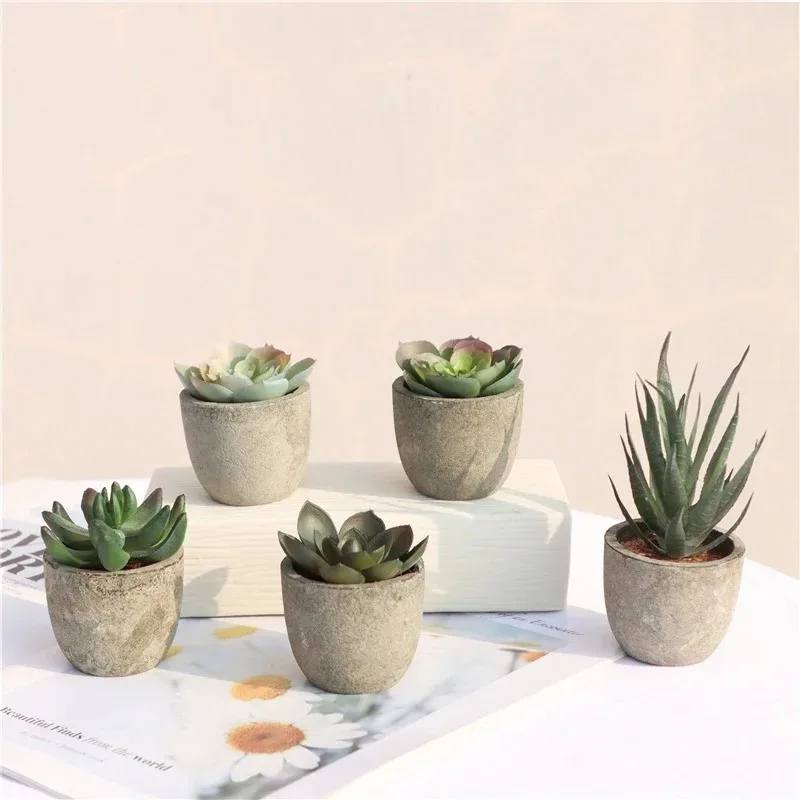 미니 인조 알로에 식물 분재 작은 모조 나무 화분 식물 - Bonsai Garden Sushi 리뷰 및 가격
