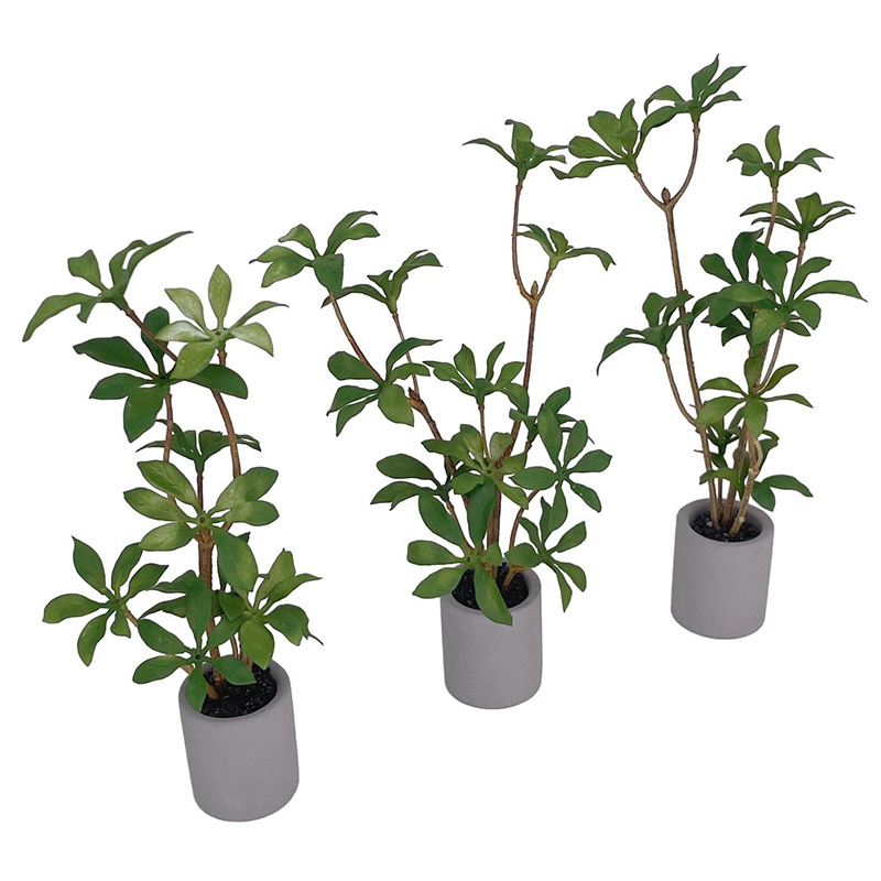 1:6 인형의 집 미니어처 화분, 녹색 잎 식물, 분재 - Bonsai Gardenia 리뷰 및 가격