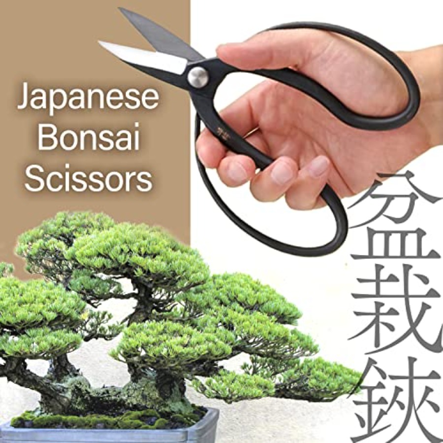 일본 수이류 분재 가위 - 전통 하사미 전정 가위, 일 - Bonsai Garden In Japan 리뷰 및 가격