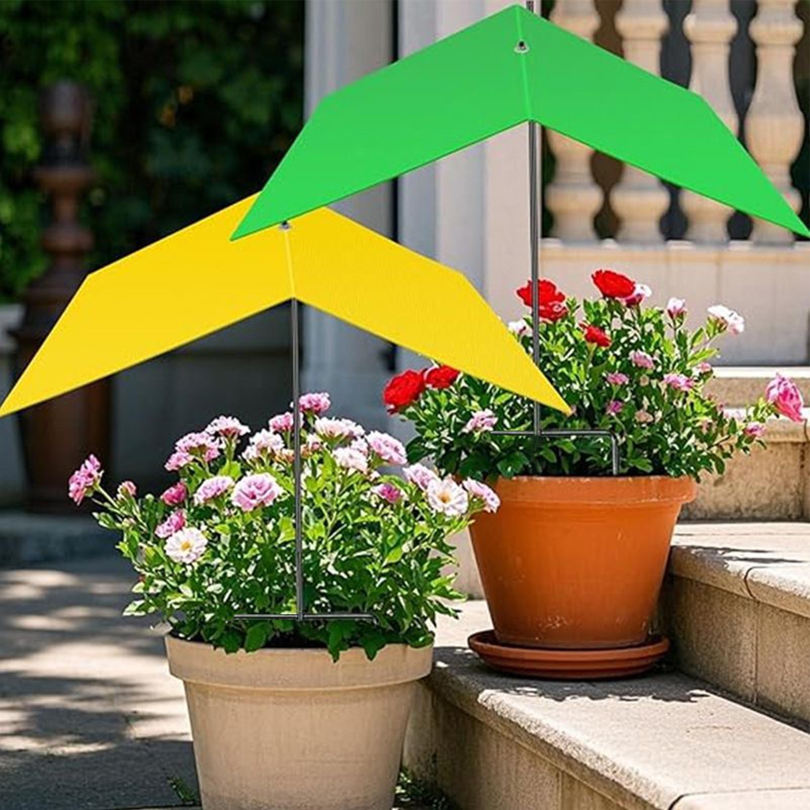 야외 식물용 우산, 자외선 차단 햇빛 가리개, 화분용  - Bonsai Garden Backyard 리뷰 및 가격