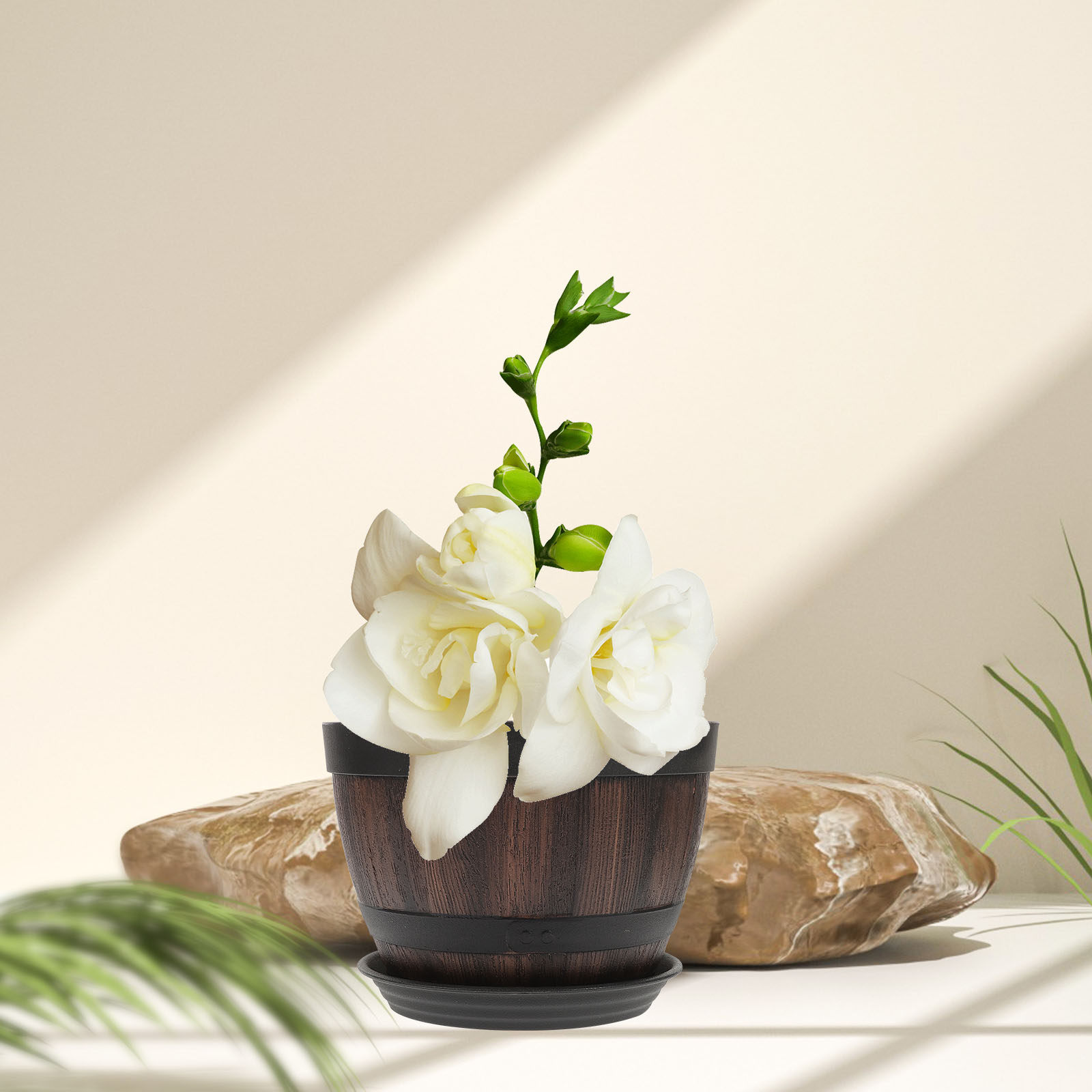 2세트 인조 나무 화분, 나무 무늬 플라스틱 화분, 실 - Bonsai Garden Indoor 리뷰 및 가격